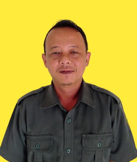 hadisu removebg preview