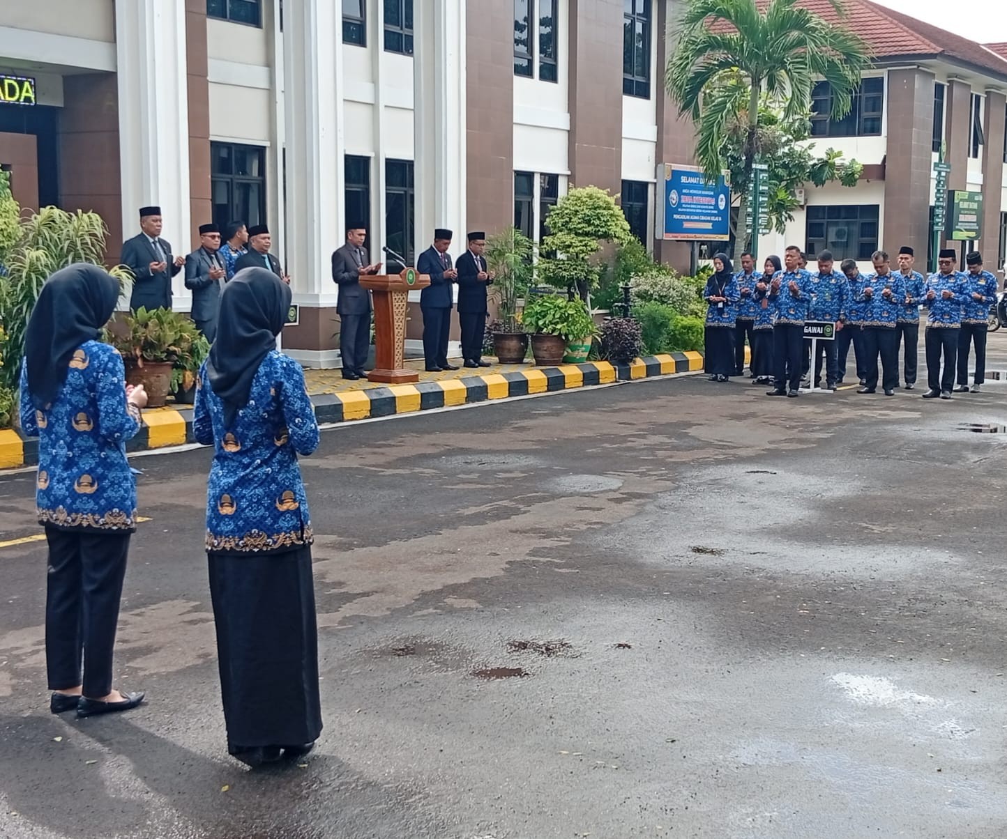 91d6f81f 7923 4f22 b24a dc54c781aa90 ok